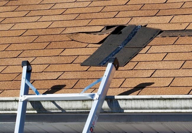 Vita Roofing — wind-damaged shingles inspected for repair